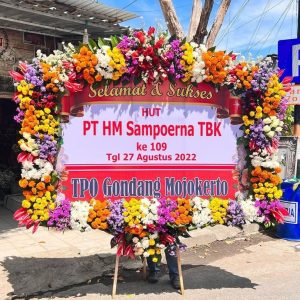 Bunga Papan Pasuruan P11