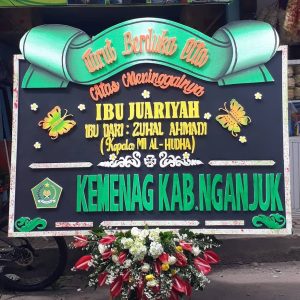 Bunga Papan Nganjuk D1