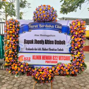 Bunga Papan Malang D9