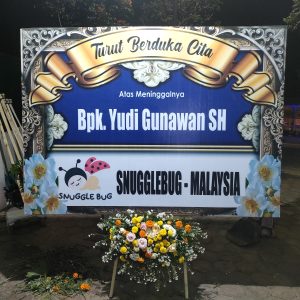 Bunga Papan Malang D1