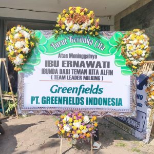 Bunga Papan Malang D5