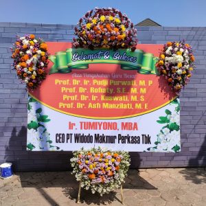 Bunga Papan Malang U5