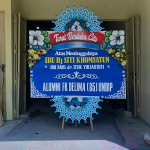 Bunga Papan Demak D1