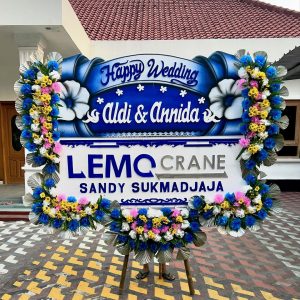 Bunga Papan Banyumas P6