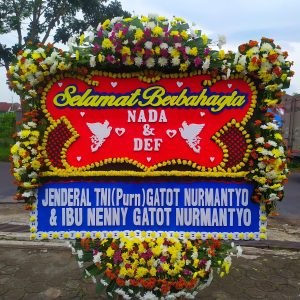 Bunga Papan Cirebon P6