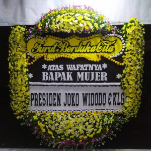 Bunga Papan Cirebon D7