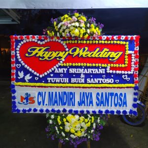 Bunga Papan Cirebon P2