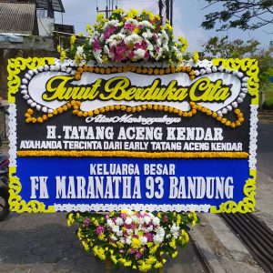 Bunga Papan Sukabumi D2