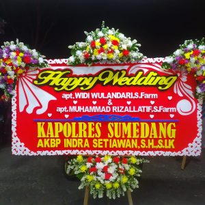 Bunga Papan Cirebon P3